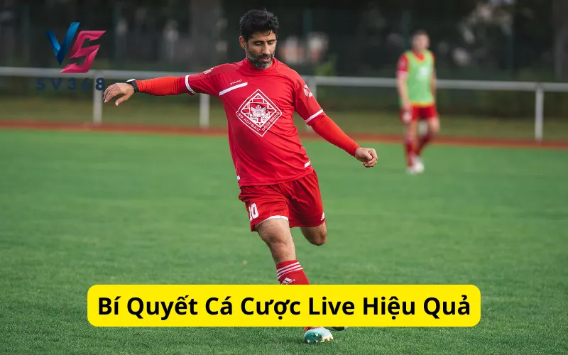 Bí Quyết Cá Cược Live Hiệu Quả