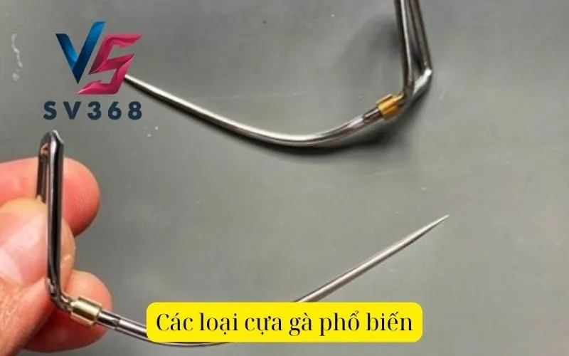 Cách chọn cựa gà phù hợp