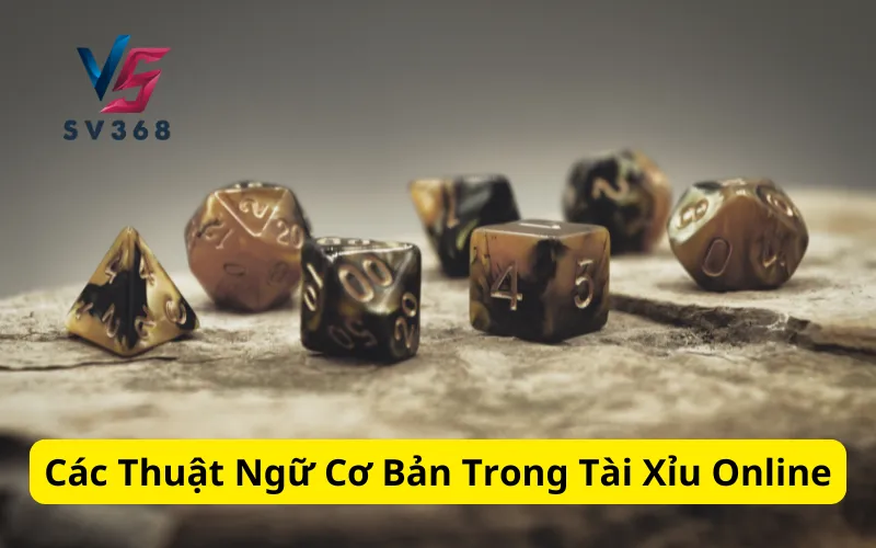 Các Thuật Ngữ Cơ Bản Trong Tài Xỉu Online