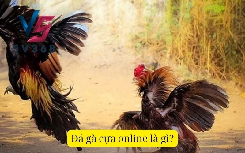 Đá gà cựa online là gì