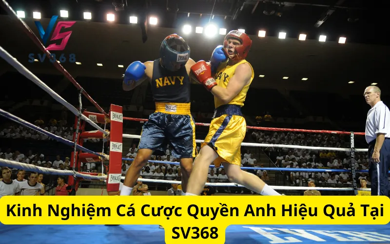 Kinh Nghiệm Cá Cược Quyền Anh Hiệu Quả Tại SV368