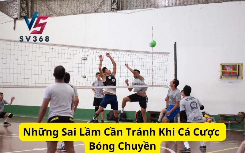 Những Sai Lầm Cần Tránh Khi Cá Cược Bóng Chuyền