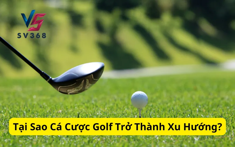 Tại Sao Cá Cược Golf Trở Thành Xu Hướng?