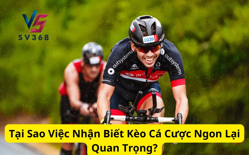 Tại Sao Việc Nhận Biết Kèo Cá Cược Ngon Lại Quan Trọng?