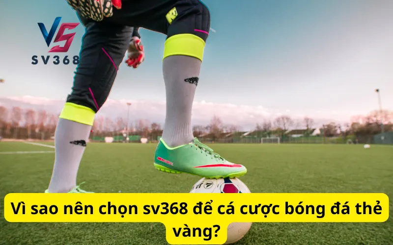 Vì sao nên chọn sv368 để cá cược bóng đá thẻ vàng?